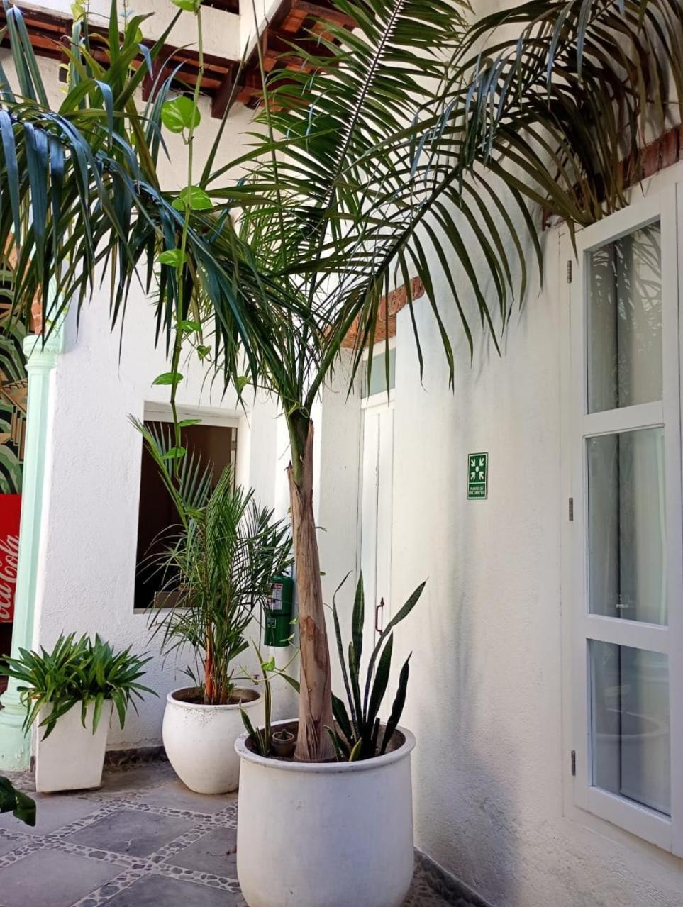 Casa Verde Hotel Σάντα Μάρτα Εξωτερικό φωτογραφία